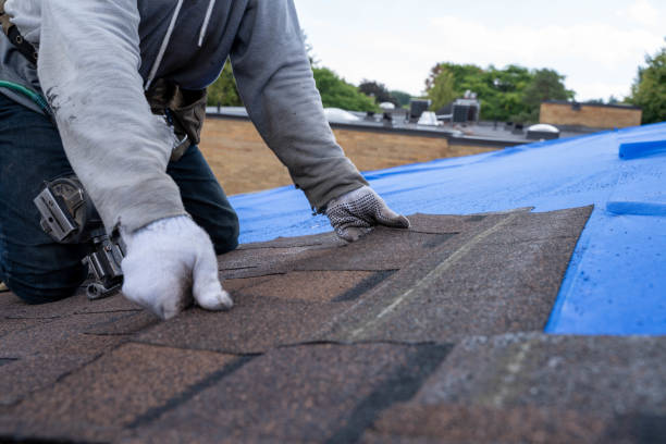 Best New Roof Installation  in Minerva, OH