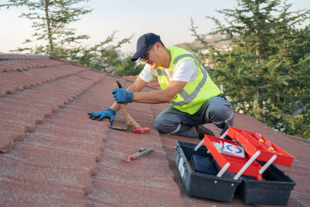Best Roof Repair Services  in Minerva, OH